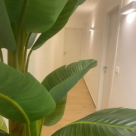 Selâavì Stabia 4* Castellammare di Stabia